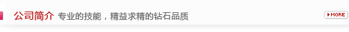 公司概况